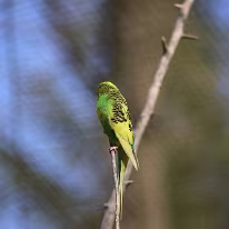 20190418-IMG_7535